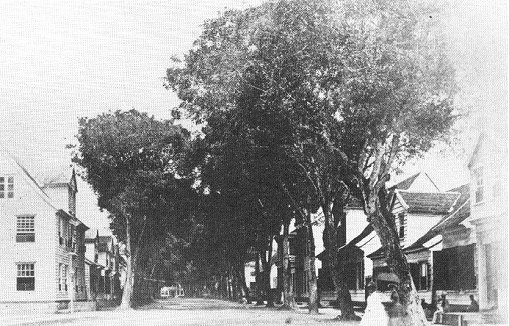 ans30.jpg - 65331 bytes