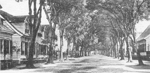 ans31.jpg - 58583 bytes