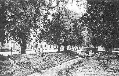 ans42.jpg - 74116 bytes